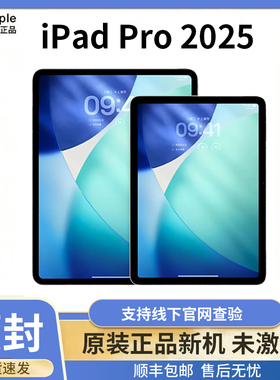 Apple/苹果 11 英寸 iPad Pro2025新款平板电脑13寸 M5芯片 2024