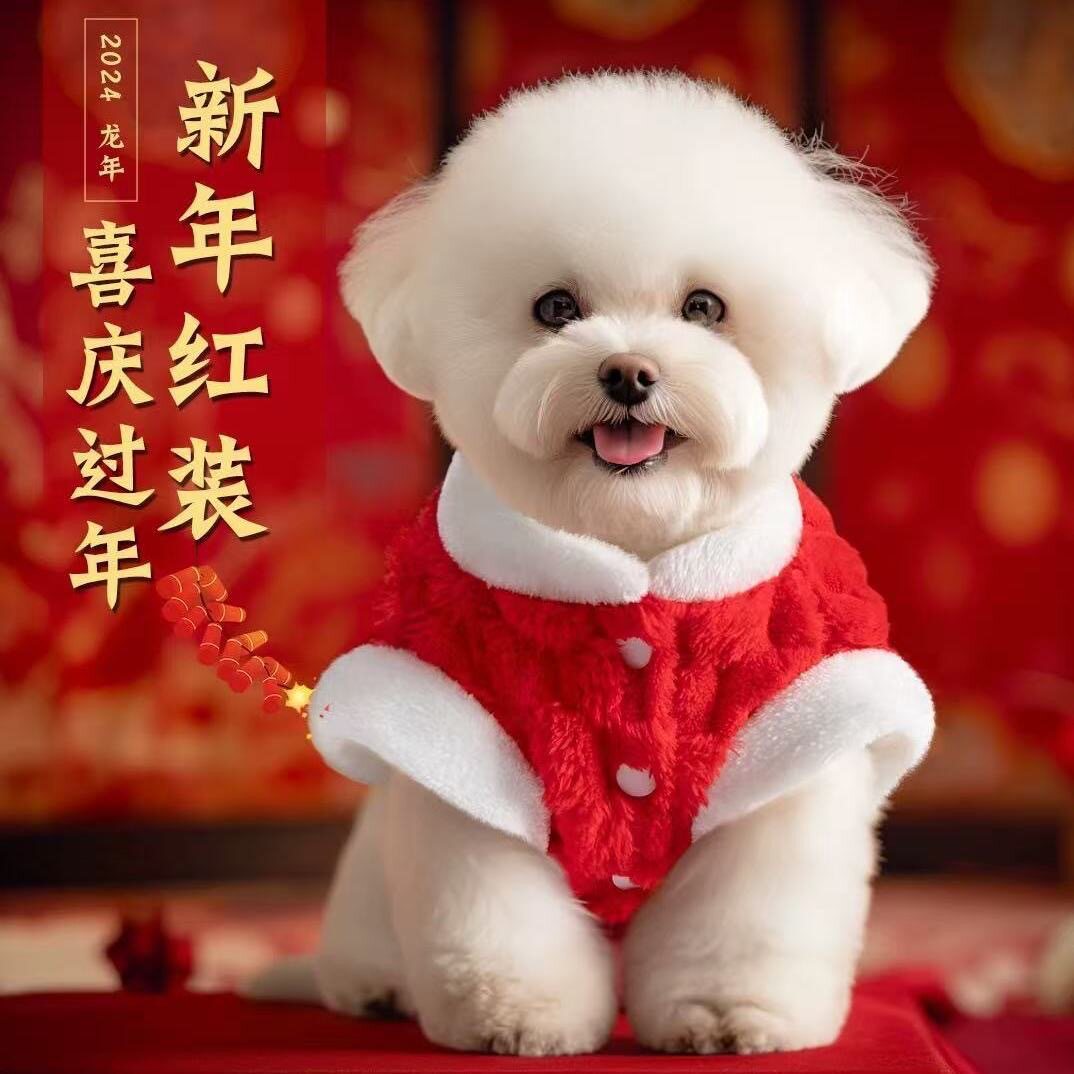 狗狗衣服秋冬款加厚保暖绒衣比熊狗宠物服装/雨衣