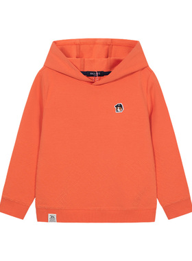 线下同款hazzys哈吉斯童装男童卫衣2021连帽上衣HZPQBD30CQ154