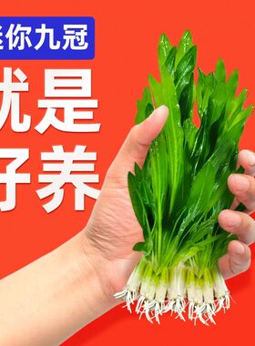 心愿部落大叶绿九冠懒人水草