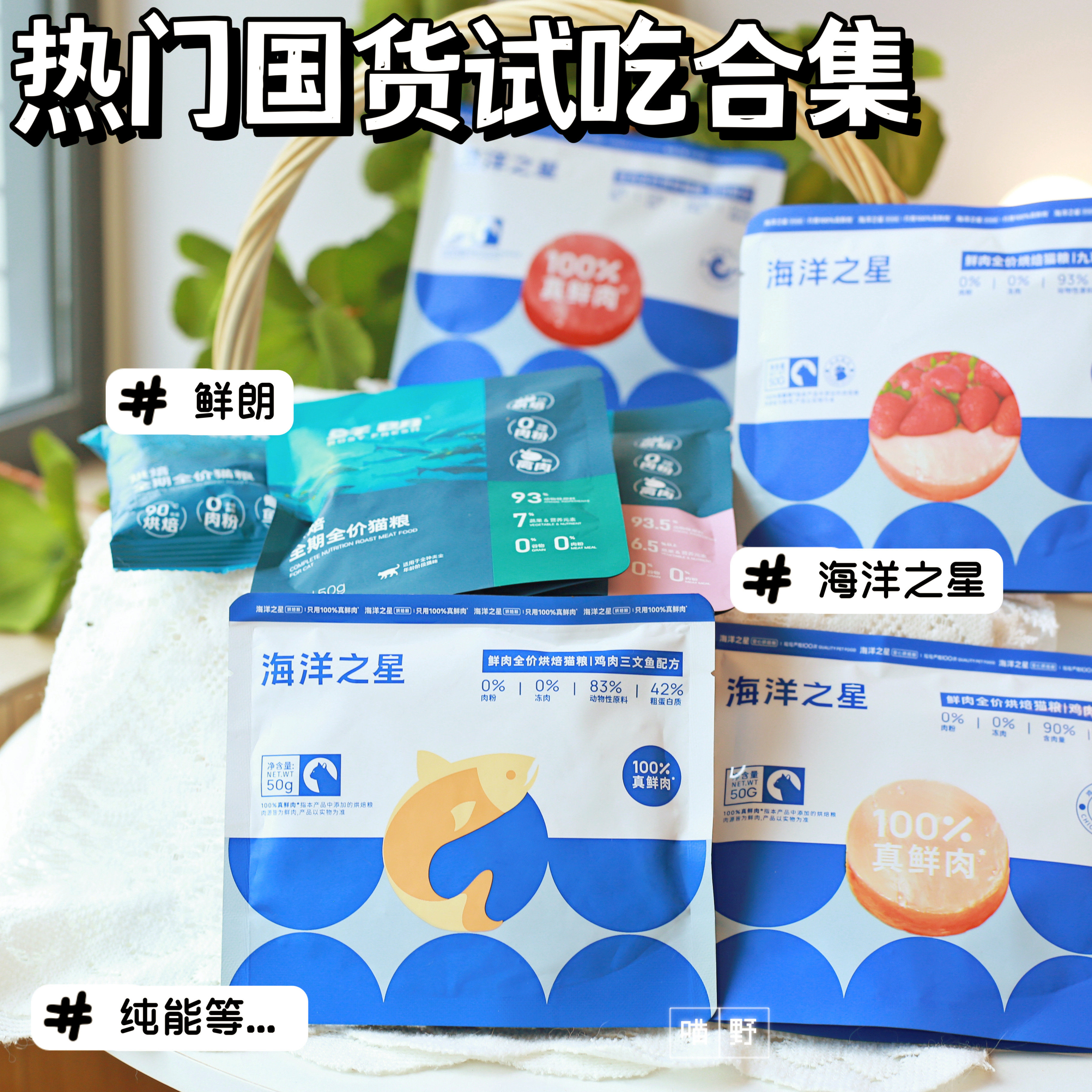 喵野喵呜托邦丨鲜朗海洋之星官方幼猫粮官方试吃装图片