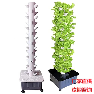 儒風蔬菜水培種菜機立柱式 Tower 無土栽培雨淋系統HydroponicGrow