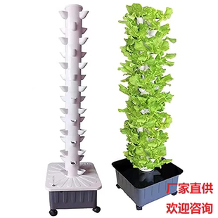 儒风蔬菜水培种菜机立柱式 无土栽培雨淋系统HydroponicGrow Tower