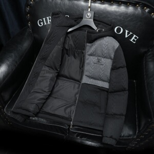 2025秋冬装90%绒连帽羽绒服男 钱塘6006-5118-P330 沙发图图片