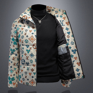 2025秋冬装新款高端提花90绒羽绒服男加厚 6006-7231-P310 镂空图图片