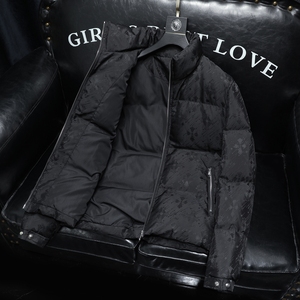 2025秋冬装90%绒立领羽绒服男 钱塘6006-5313-P330 沙发图图片