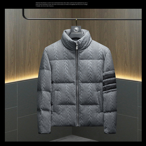2025秋冬装90%绒立领羽绒服男 钱塘6006-5310-P310 镂空图图片