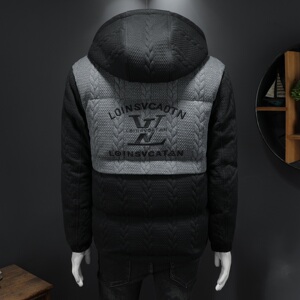 2025秋冬装90%绒立领羽绒服男 钱塘6006-5118-P330 假模图图片