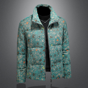 2025秋冬装90%绒立领羽绒服男 钱塘6006-5311-P310 镂空图图片