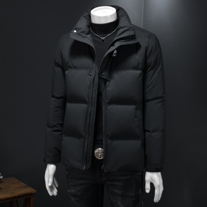 2025秋冬装90%绒立领羽绒服男 钱塘6006-5109-P330 假模图图片