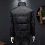2025秋冬装新款拼接立领羽绒服男钱塘6006-9988-P310假模图，男装羽绒服，钱塘6006(原3029)