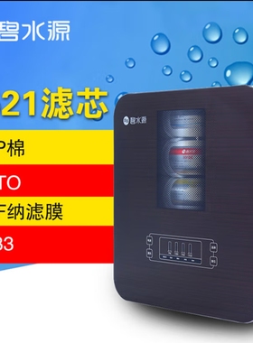 碧水源D521滤芯 D621滤芯 D719滤芯 D921滤芯 D519滤芯 D721滤芯