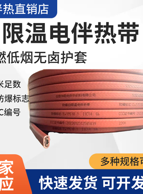 自限温电热带ZBR-PF-40W-220V自控温伴热线电加热带温控伴热电缆