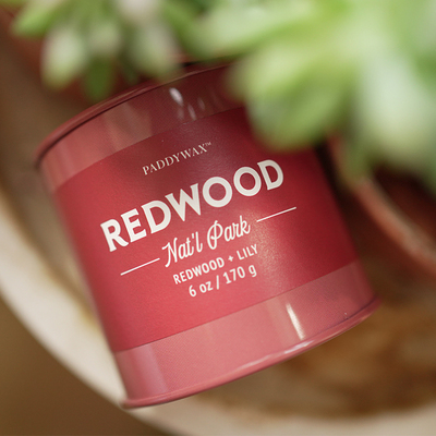 复古室内美国香薰蜡烛paddywax