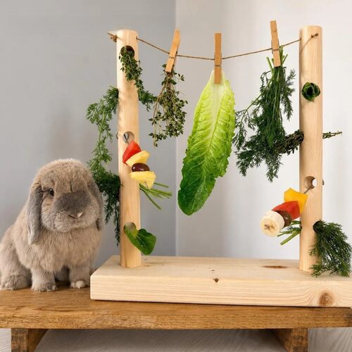 独立站新款 Rabbit Enrichment Toy 兔子益智玩具兔兔木质玩具