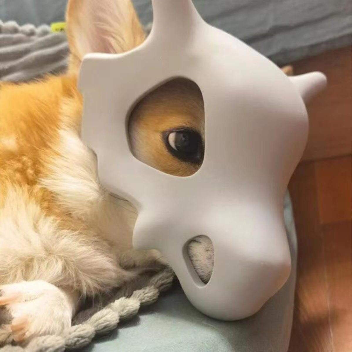 跨境新款 3d打印卡拉猫咪狗狗柯基秋田柴犬卡拉头盔面具骷髅摆件