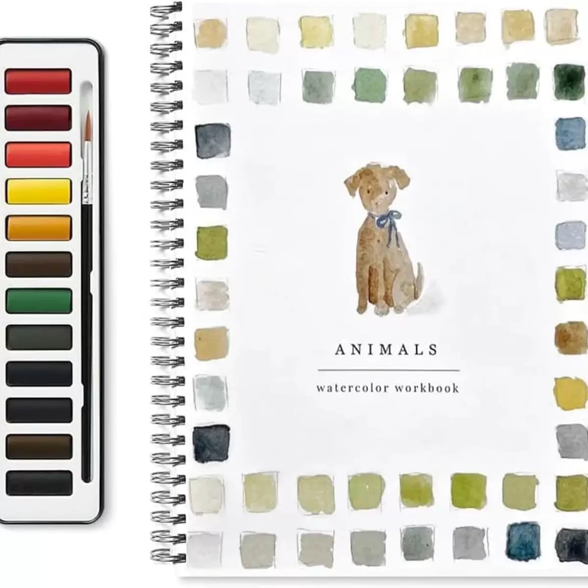 Watercolor Workbook 水彩练习册适合初学者的鸟类水彩练习册
