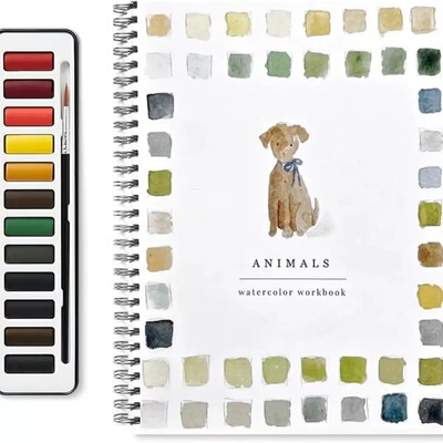 Watercolor Workbook 水彩练习册适合初学者的鸟类水彩练习册