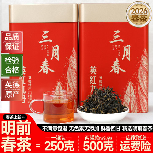 英德红茶英红九号2026三月明前茶