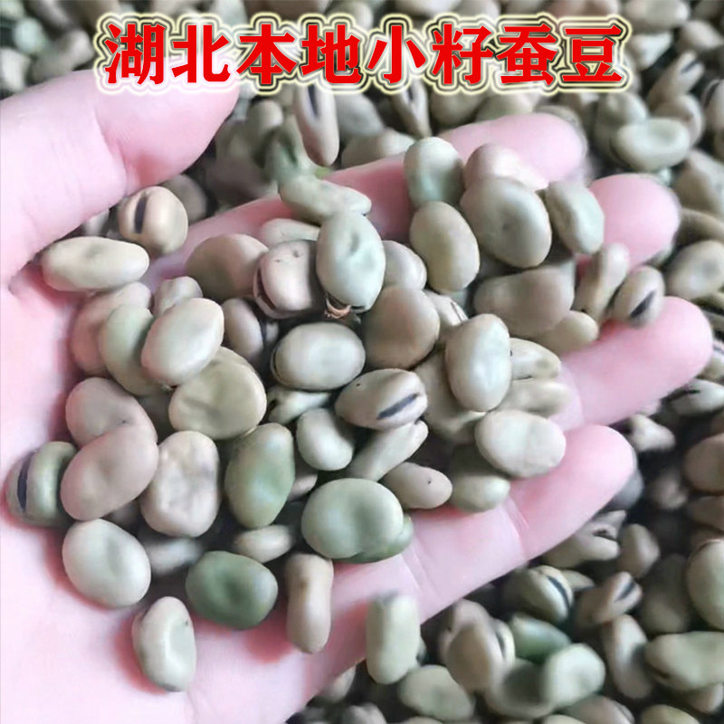 湖北农家干货枯豌豆本地老品种干蚕豆自然日晒干胡豆罗汉豆干佛豆