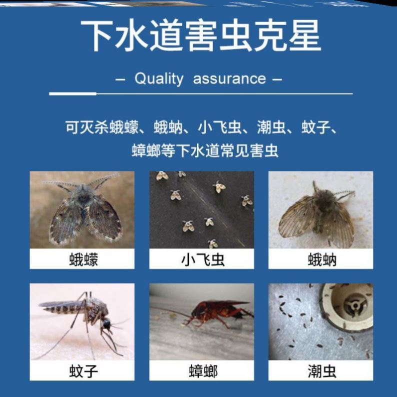 厕所杀虫剂去除卫生间有小飞虫厨房马桶小下水道管道