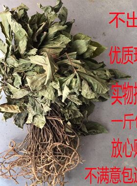 野生中药材500g包邮