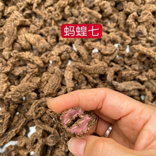 石螃蟹 水莴苣500g 免邮 真品 野生干品中药材红蚂蟥七 费无硫新品 推荐