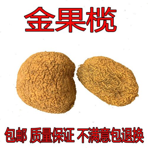 野生金果榄中药材