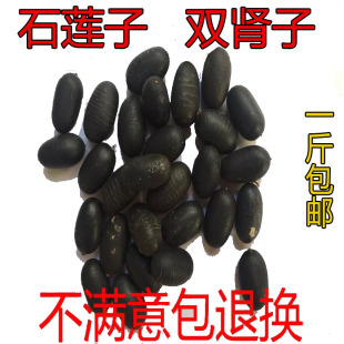 野生干货中药材 双肾子 石莲子龙凤籽500克包邮搭配风流果阴阳子
