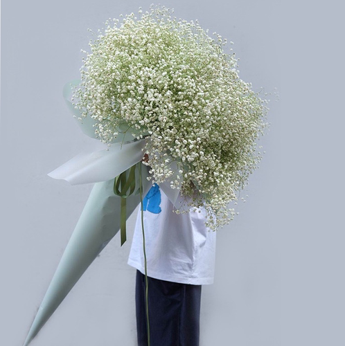 江苏鲜花无锡徐州南通盐城红玫瑰