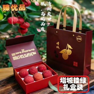 送礼正宗增城挂绿荔枝新鲜北园现摘鲜荔枝礼盒顺丰空运