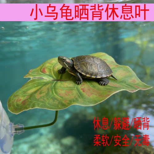 小乌龟晒台爬台水族造景仿真斗鱼强支撑休息叶柔软仿生叶宠物用品