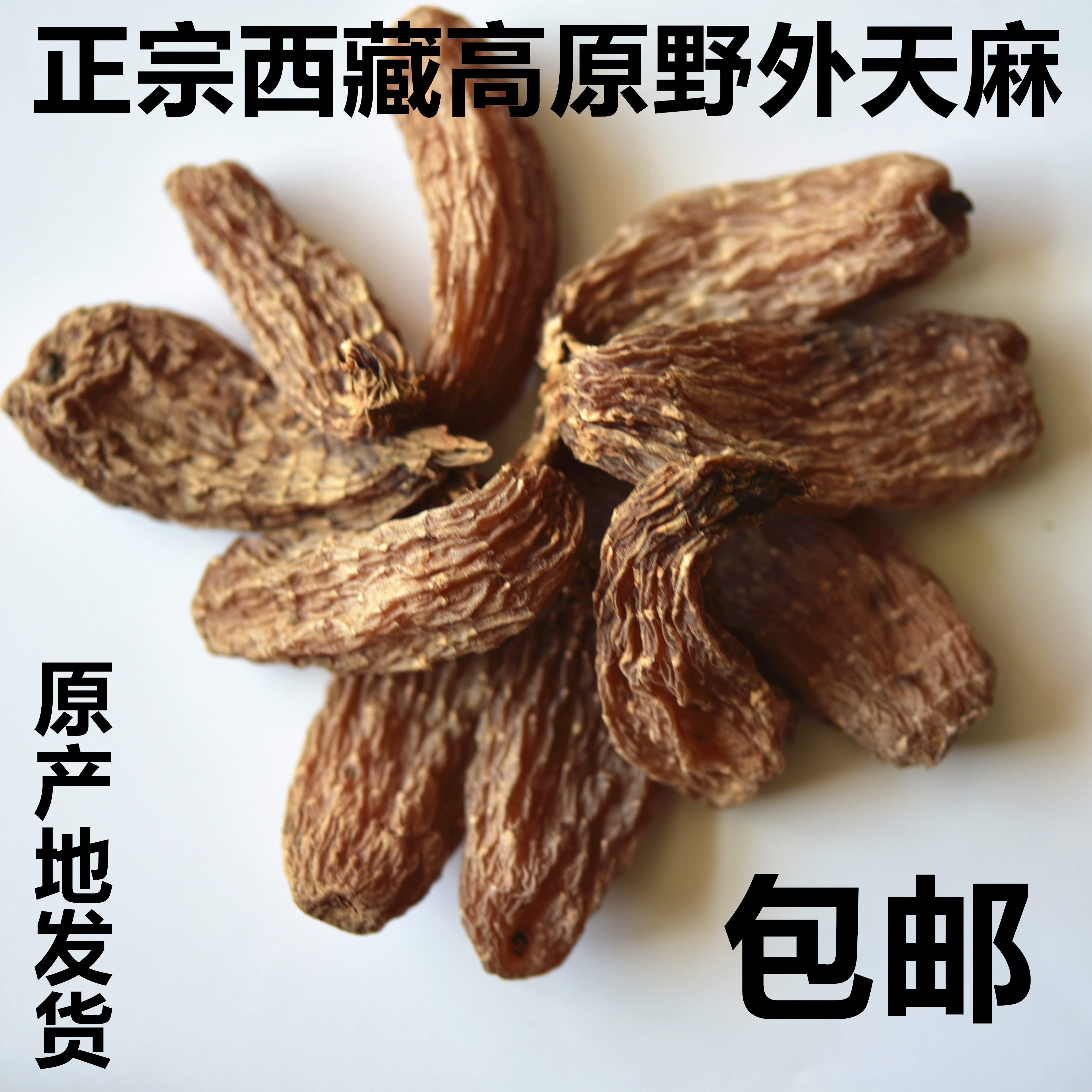 精选正宗西藏野外天麻中药材新货天麻整个无硫250克包邮