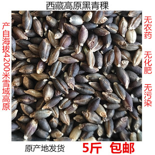 西藏高原特产黑青稞米原产地发货无农药无化肥原始种植2500克