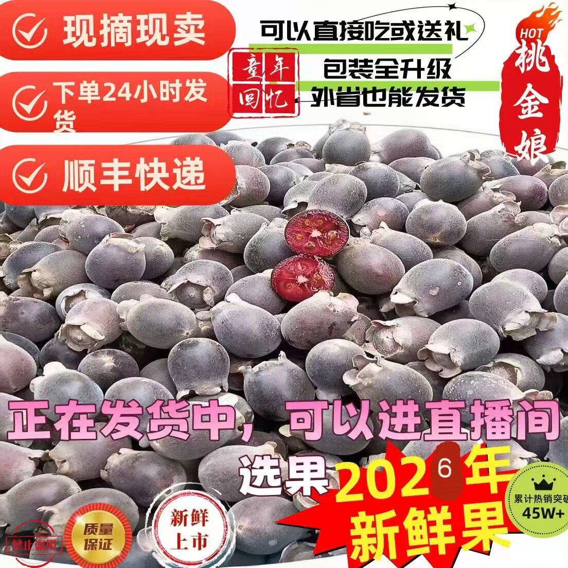 新鲜采摘桃金娘水果野生