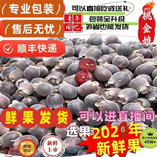 （2026年新鲜熟了）顺丰山捻子果新鲜野生桃金娘果广东岗稔子