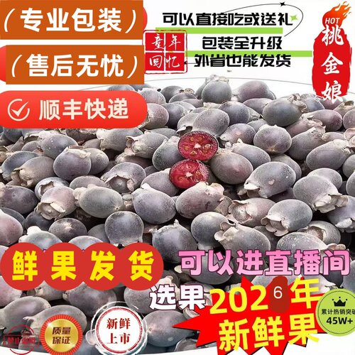 新鲜采摘桃金娘水果野生