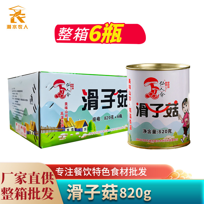 滑子菇820g罐装清水滑菇罐头野生菌火锅煲汤食用蘑菇菌子餐饮商用