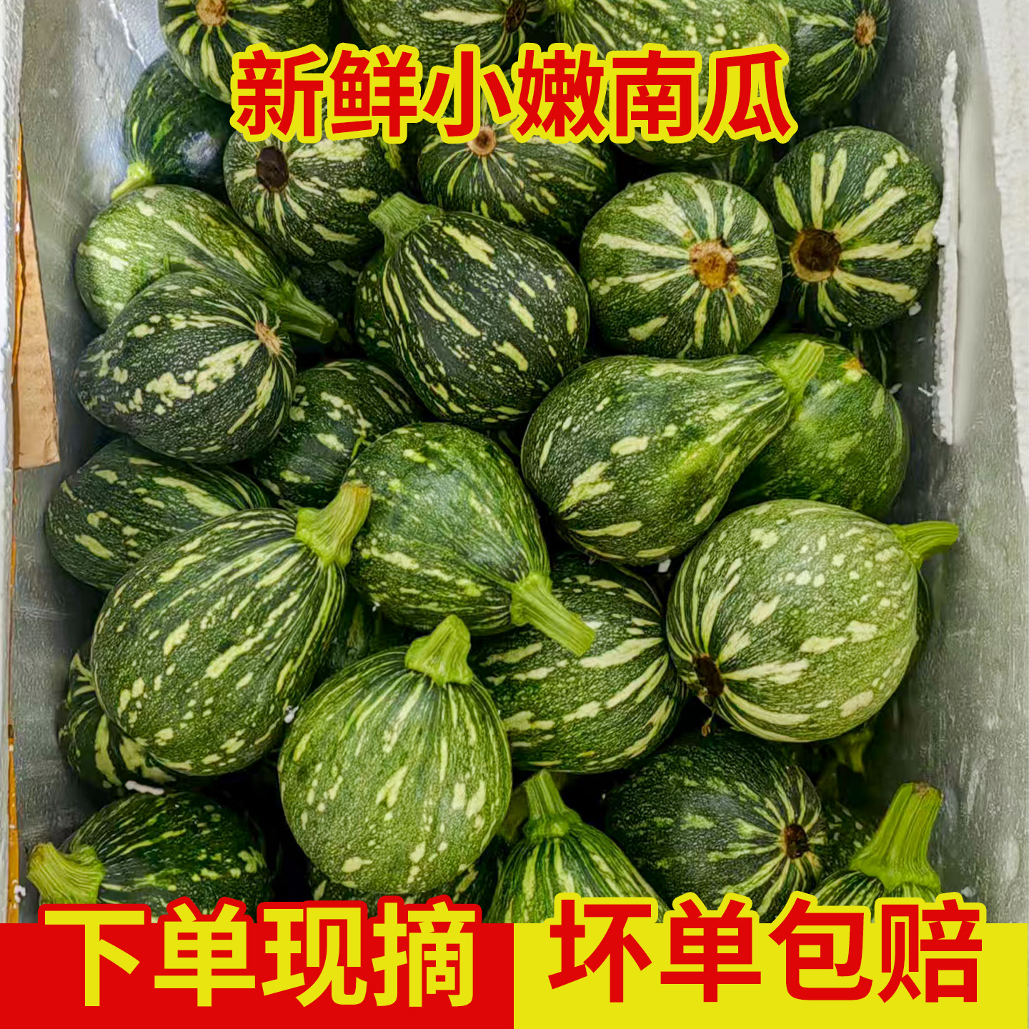 湖南小南瓜新鲜嫩青皮黄心圆吊瓜当季时令蔬菜酒店餐饮食材供应商