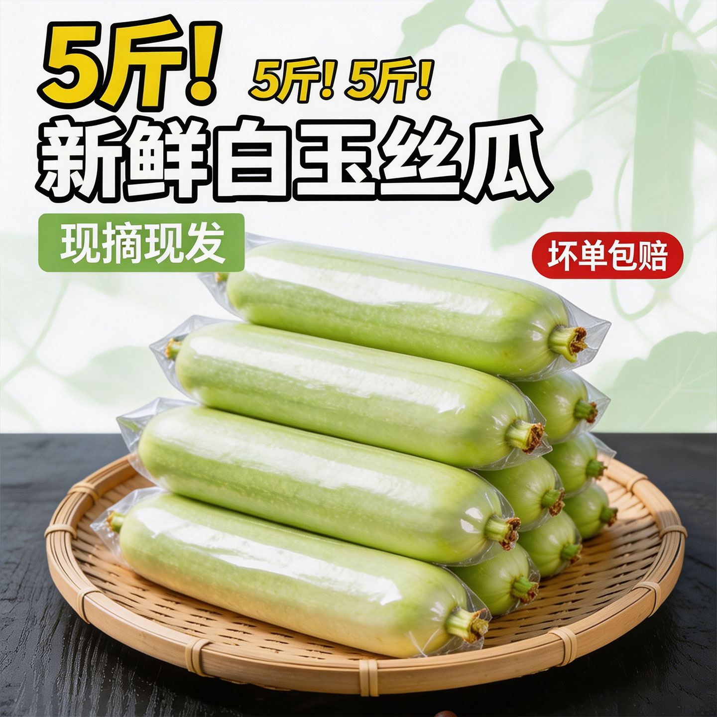 湖南网红白玉丝瓜新鲜现摘现发沁甜丝瓜农家自种产地直供批发蔬菜