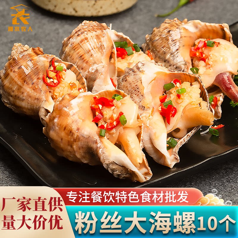 湘佰味粉丝大海螺10个蒜蓉味预制