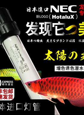 日本NEC潜水龙鱼灯防水6700kT8三基色鱼缸灯管烤色灯金龙红龙增色