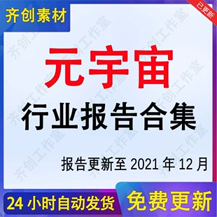 元宇宙行业Metaverse元宇宙产业链企业市场前景用户分析报告合集