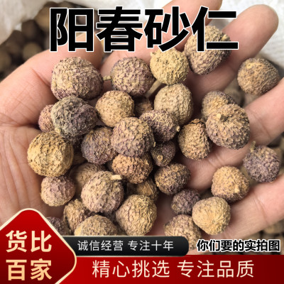 阳春砂仁 安国中药批 砂仁果大饱满 卤肉煲汤 砂仁中药材新鲜香料