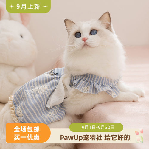 蓝色绣花条纹连衣裙夏季吊带裙两脚衣服猫咪布偶宠物衣服狗狗衣服