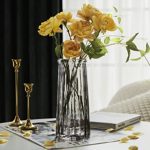 柯林斯彩色餐厅富贵竹玻璃花瓶