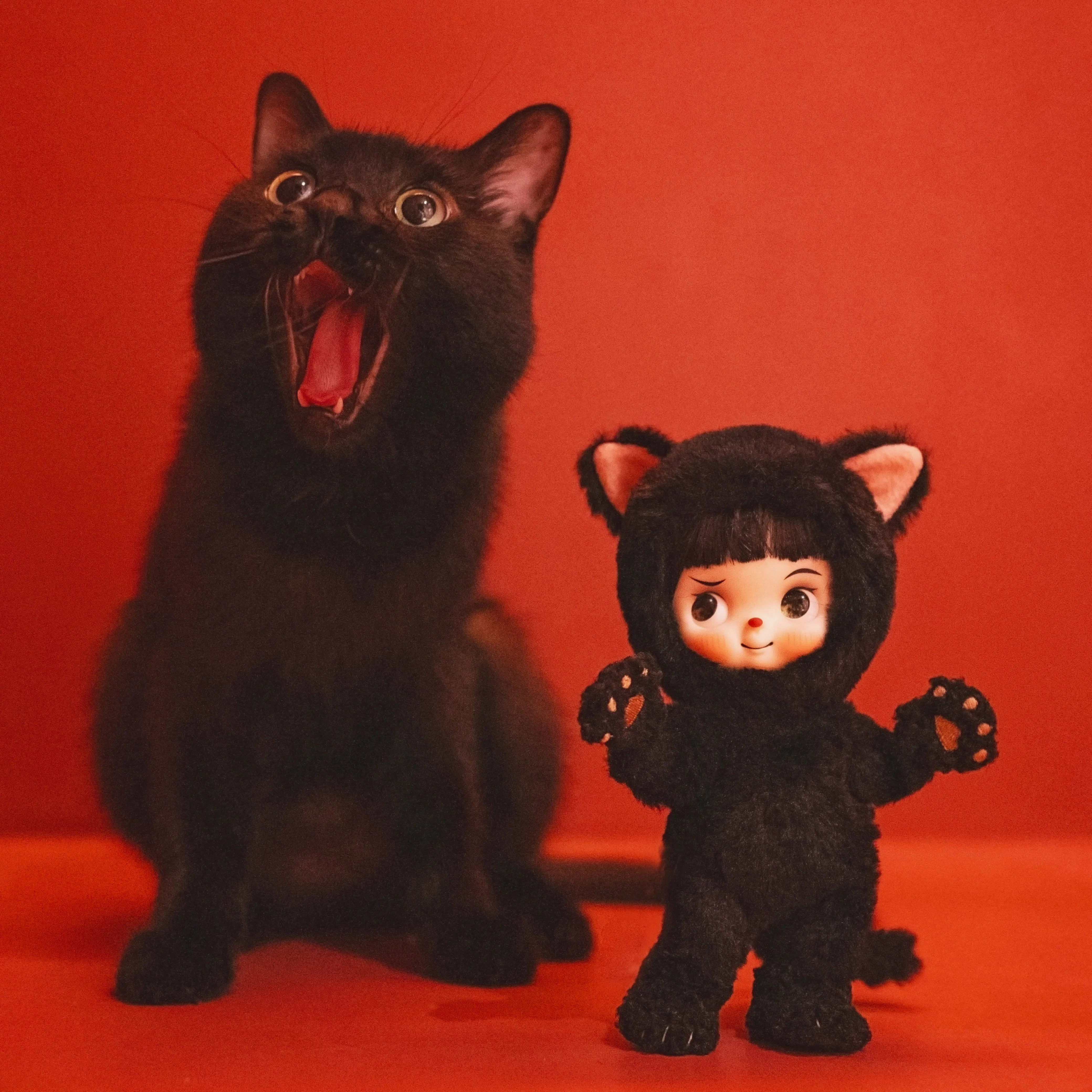 售完展示 THEFANTASYBEASTS芭萨卡 神秘黑猫 毛绒 四周年限定