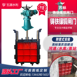 苏标ZMF 双向止水铸铁镶铜闸门启闭机手电两用橡胶水闸 SYZ附壁式