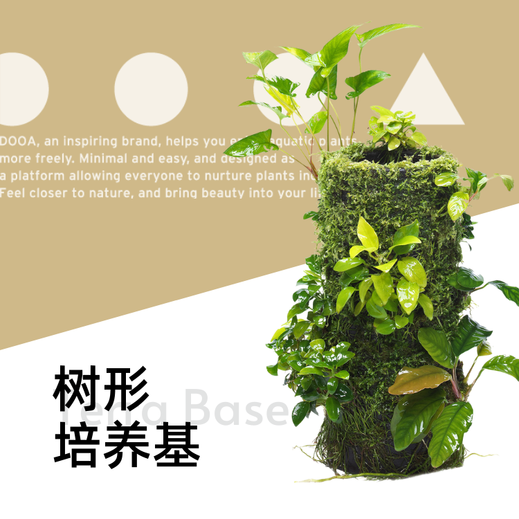 ADA微景观树形培养基附生植物