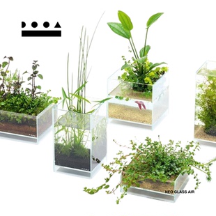 DOOA新悬浮缸玻璃缸桌面水陆沼泽沙漠微景观小型植物办公室鱼缸